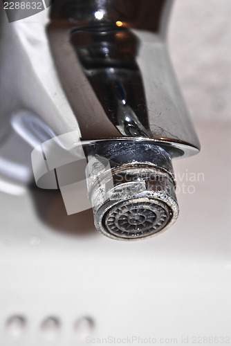 Image of tap encrusted calcareous