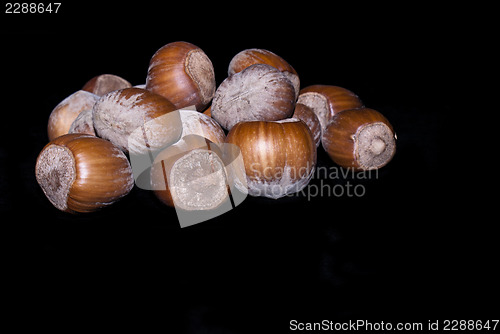 Image of fresh nuts isolated on a black