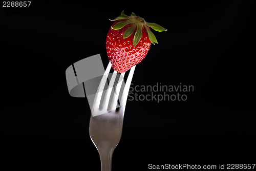 Image of fresh strawberry on fork isolated on black 