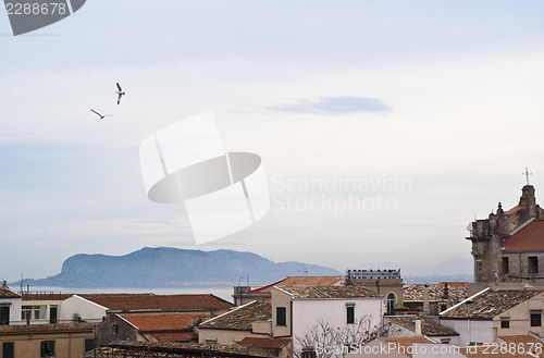 Image of View of Palermo with roofs and seagulls