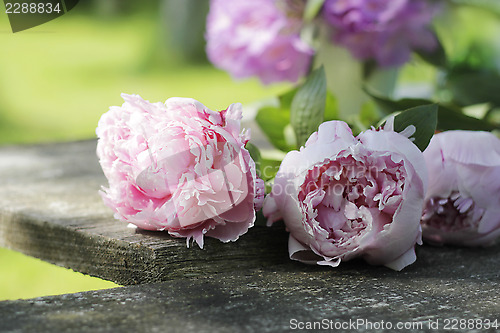 Image of peonies on wooden plank