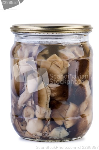 Image of Glass jar with marinated paddy straw mushrooms