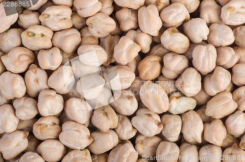 Image of Abstract background of chick peas