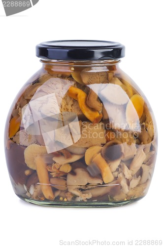 Image of Glass jar with assorted marinated mushrooms