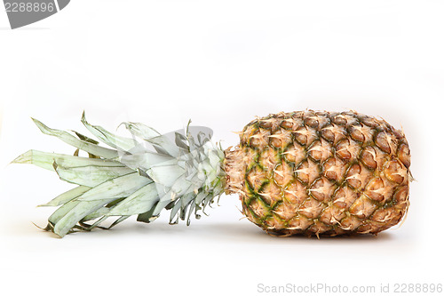 Image of pineapple