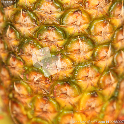 Image of  pineapple