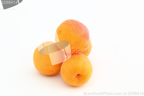 Image of apricots