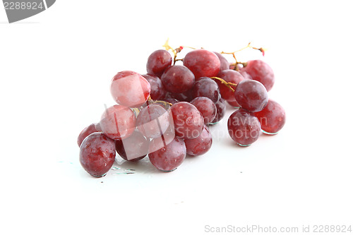 Image of grapes