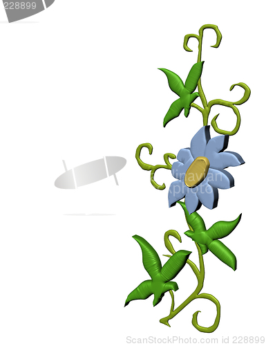 Image of Isolated border flower