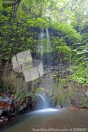 Image of Gitgit Waterfalls