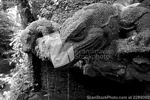 Image of Ubud Monkey Forest