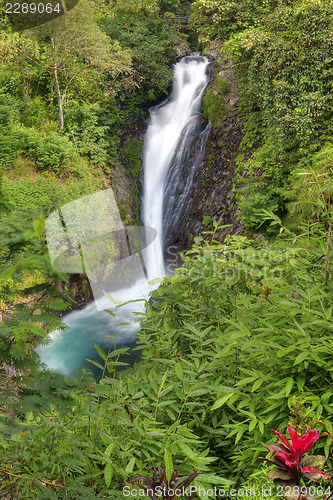 Image of Gitgit Waterfalls