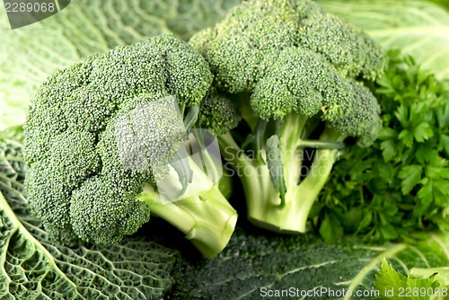 Image of Cabbage of a broccoli