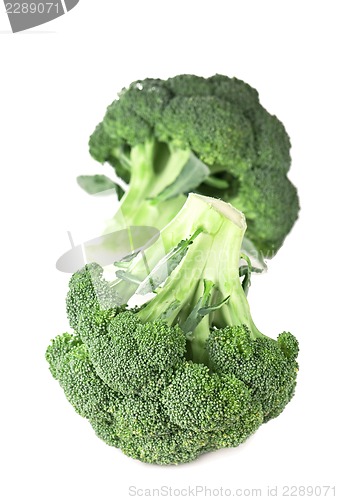 Image of Fresh, Raw, Green Broccoli Pieces