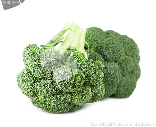 Image of Fresh, Raw, Green Broccoli Pieces