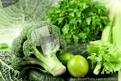 Image of Cabbage of a broccoli