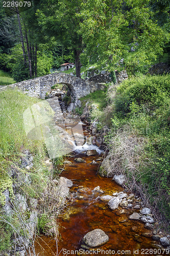 Image of Poo de Cabrales