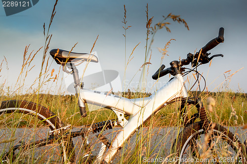 Image of bike parked in a meadow