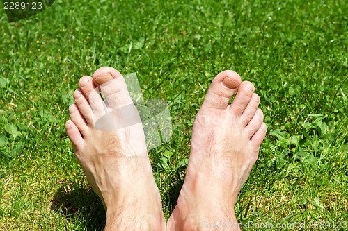 Image of male legs on green grass