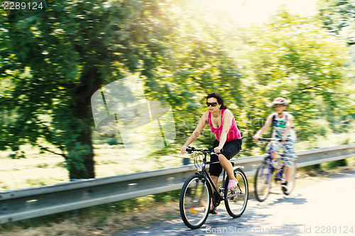 Image of Mother with sons on bicycle trip