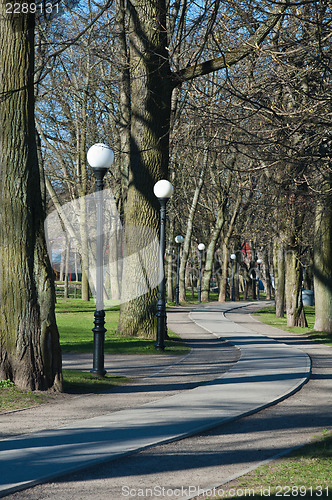 Image of Avenue in park Kadriorg, in the early spring