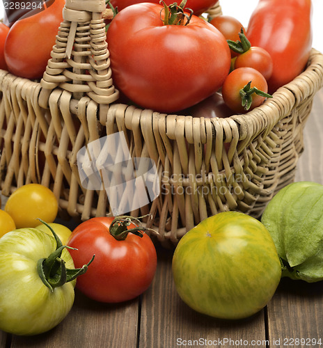 Image of Fresh Tomatoes