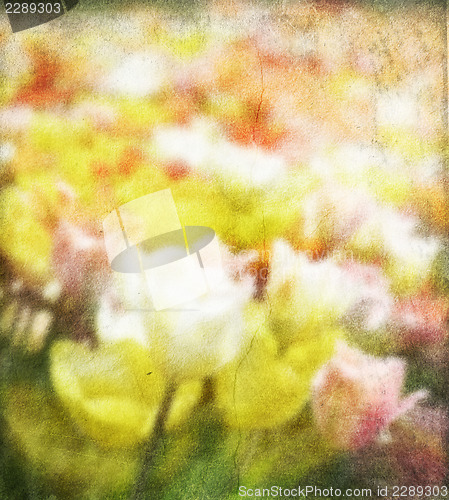 Image of Abstract Floral Background