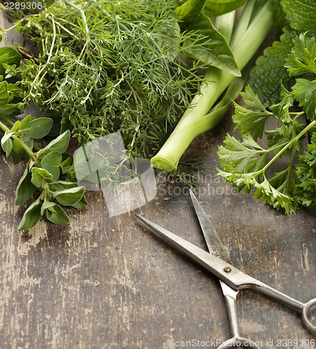 Image of Fresh Herbs On A  Rusty Table 