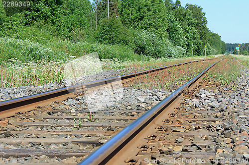 Image of Railway through Countryside