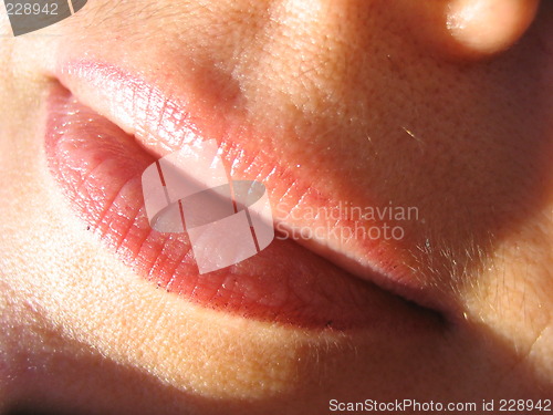 Image of Lips