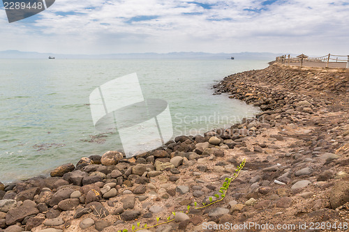 Image of Red sea shores