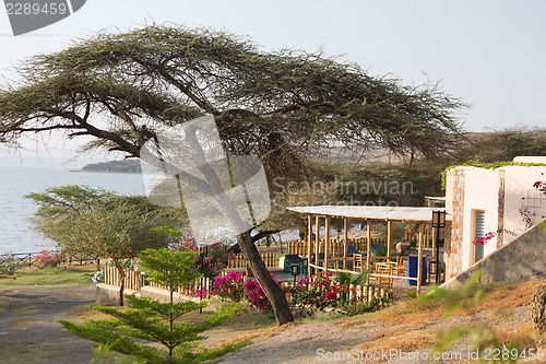 Image of Shores of Langano Lake