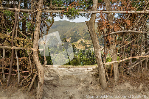 Image of View through the gate