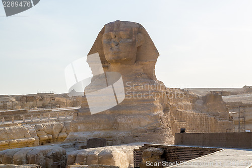 Image of Sphinx