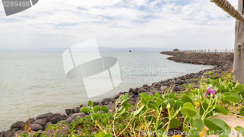 Image of Red sea shores