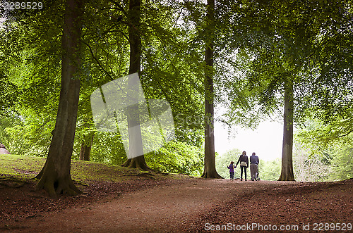 Image of Family walk in the forest