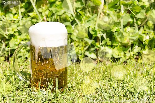 Image of Glass with beer on the green grass