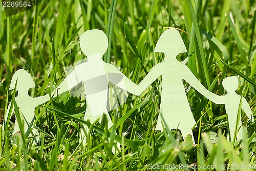Image of Paper family on a  green grass