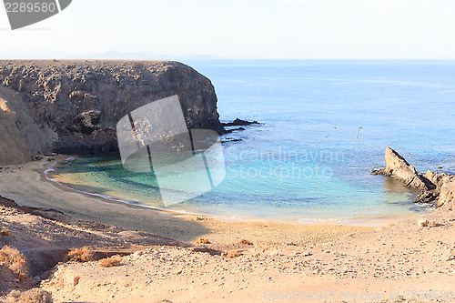 Image of Papagayo lanzarote 