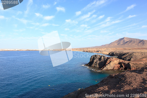 Image of Papagayo lanzarote 