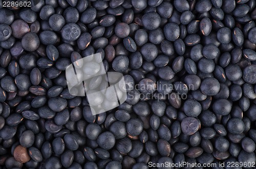 Image of Background of black Beluga Lentils