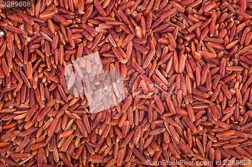 Image of Red rice background