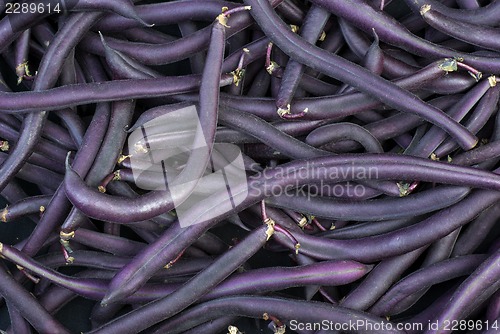 Image of Purple Wax Snap Beans background