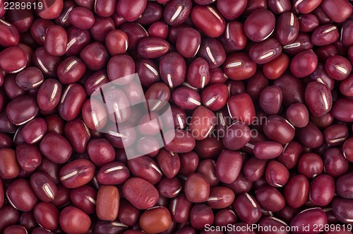 Image of Red Bean Adzuki background