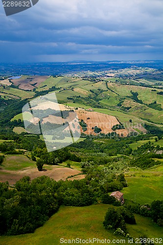 Image of green lush countryside 