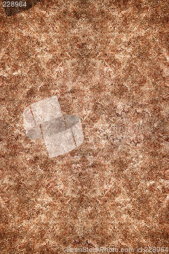 Image of Brown Carpet