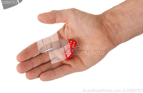 Image of Hand holding red dices