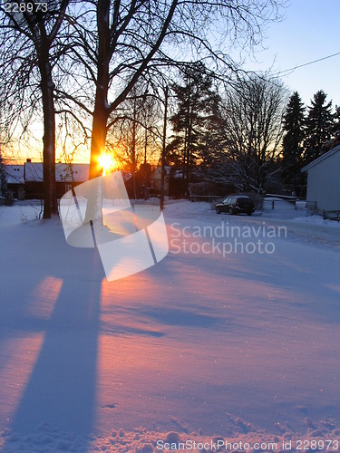 Image of Winter sunset