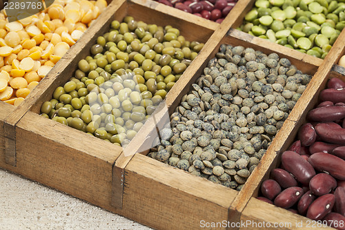 Image of pea, lentil, bean abstract