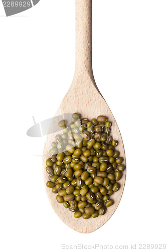 Image of Spoonful of mung beans